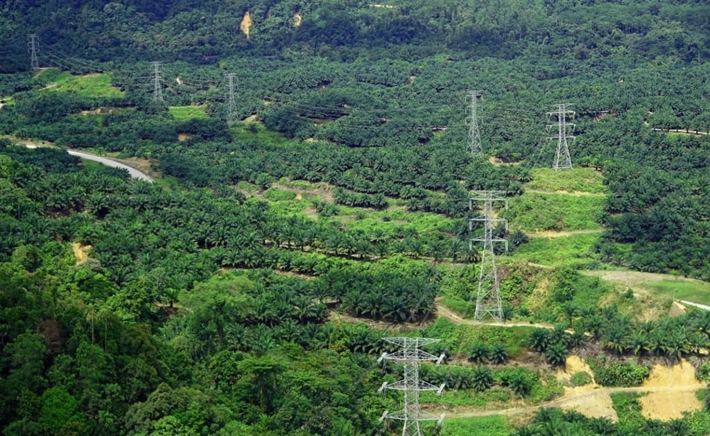 To support the renewable energy transition across Asean, Sarawak Energy has been working to develop cross-border electricity interconnection on the island of Borneo, including to West Kalimantan in Indonesia (pictured). Photo: Sarawak Energy
