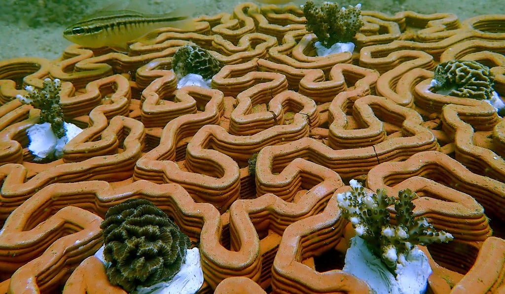 Hong Kong start-up archiREEF was crowned overall champion at EPiC for its innovative idea of using 3D printing to create artificial terracotta reef structures to enhance coral growth.