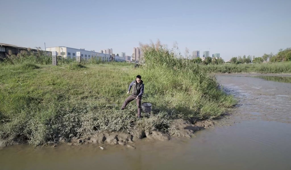 Wen Cheng says alien plants and animals in Guangdong’s Pearl River Delta wetlands threaten the survival of native species.