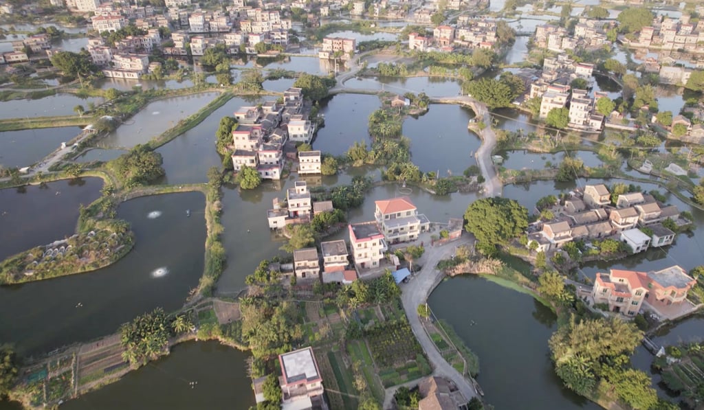 Ecologist Wen Cheng is raising public awareness of the need for ecological conservation in mainland China’s Pearl River Delta wetlands.