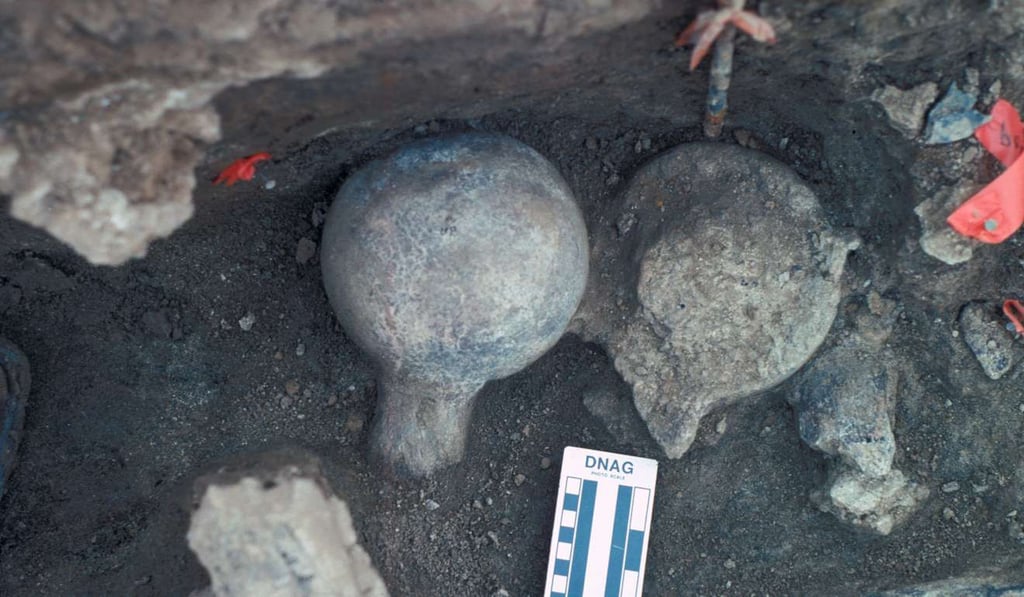 A view of two mastodon femur balls, one face up and once face down. The neural spine of a vertebra is exposed (lower right) as is a broken rib (lower left). Photo: San Diego Natural History Museum