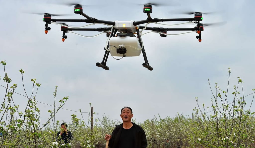 An orchardists watches an agricultural drone spray his apple trees in Ji county, Shanxi province. Photo: Xinhua
