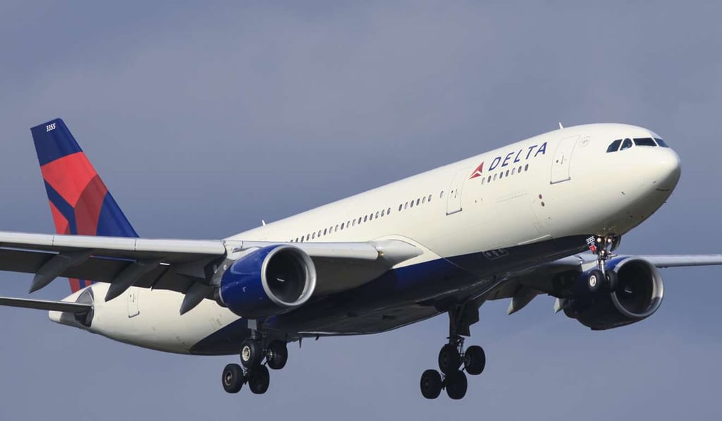 A Delta A330 Airbus. Photo: Handout A Delta A330 Airbus. Photo: Handout