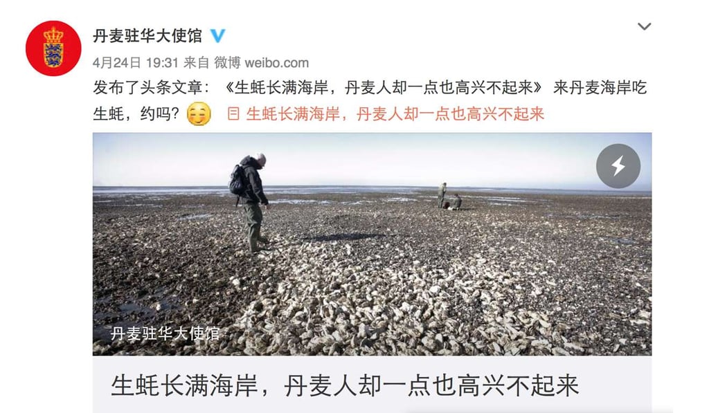 The Danish embassy’s social media post was shared 14,000 times. Photo: Handout