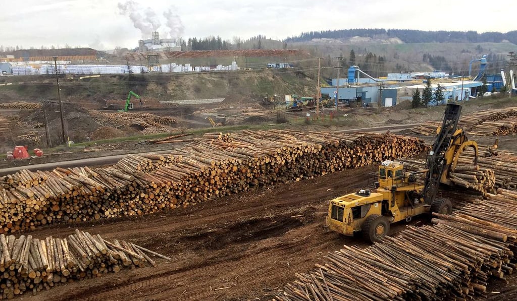 The Trump administration is imposing duties on Canadian softwood timber. Photo: Washington Post