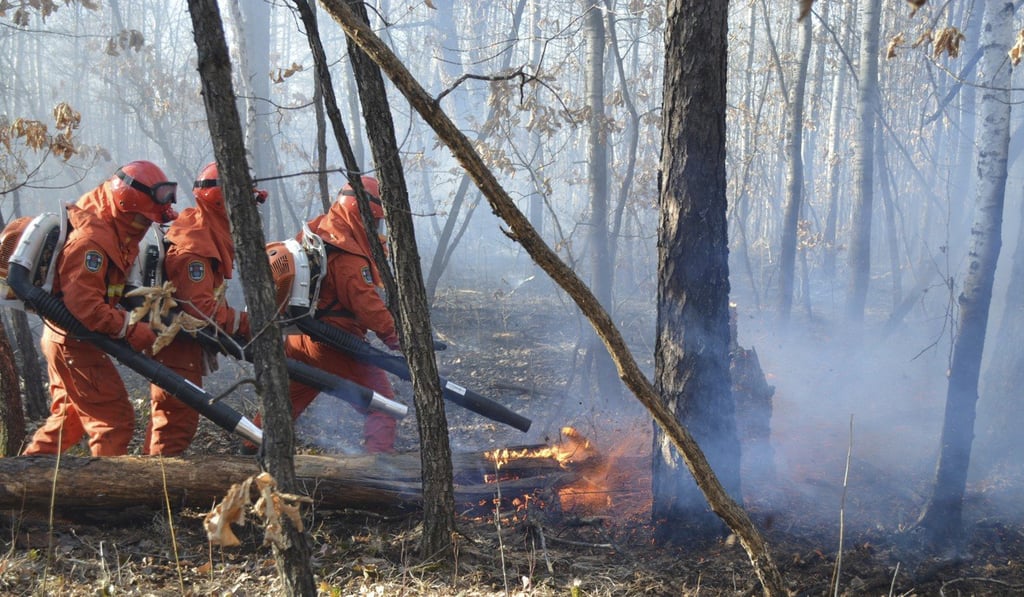 Photo: Xinhua破性进展，火场已实现外线全部合围，明火被扑灭。目前正在开展火场纵深清理工作。 新华社发（毛亚团 摄）