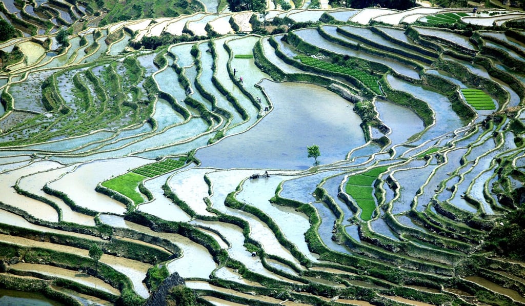 Terraced rice fields in Baohua Township of Honghe County, southwest China's Yunnan Province. Phoo: Xinhua