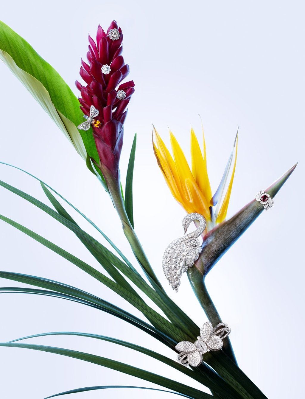 Graff, swan brooch and butterfly watch; Chaumet, dragonfly ring with spessartite garnet and ruby ring; Forevermark, ring and earrings
