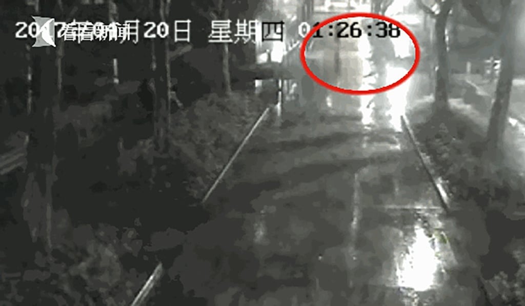 Surveillance footage of the men making off with the bird late at night. Photo: Handout Surveillance footage of the men making off with the bird late at night. Photo: Handout