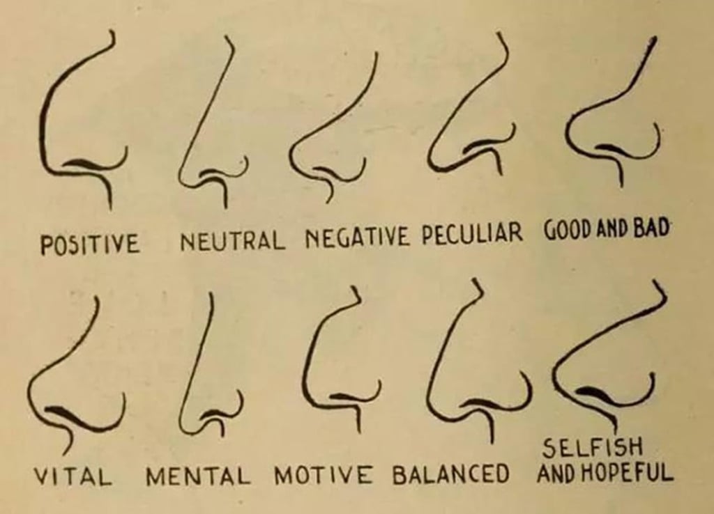 Detail from a 1902 book called Vaught’s Practical Character Reader, one of the leading texts of the pseudoscience of physiognomy. Photo: Handout