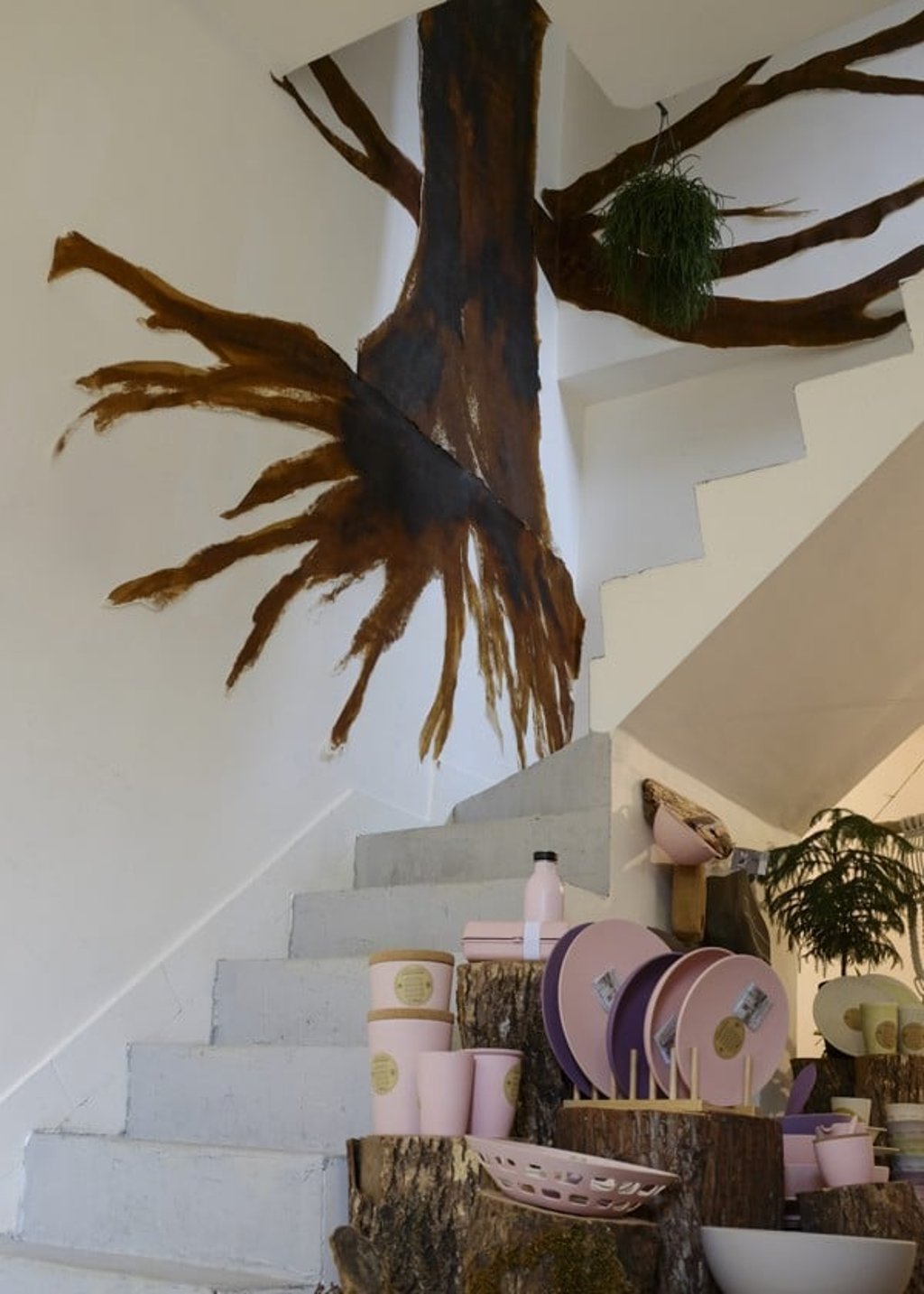 The Pimary shop and art space. Picture: Antony Dickson