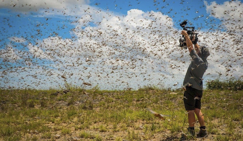 The BBC’s Planet Earth II series used a binaural software tool to create several 360-degree segments. Here, a cameraman films in the middle of a swarm of flying locusts in southwest Madagascar. Photo: BBC