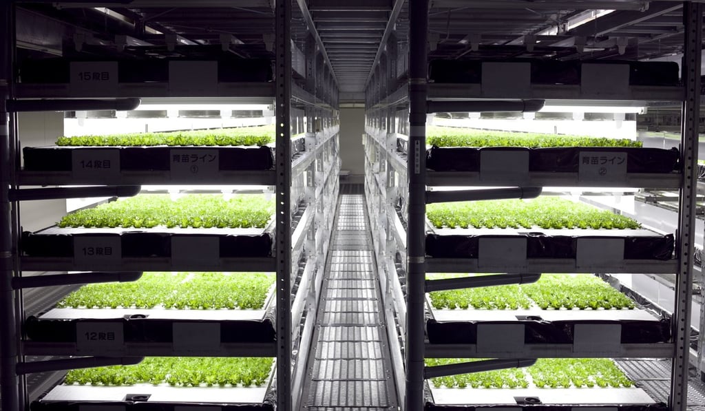 Spread Co's vertical farms