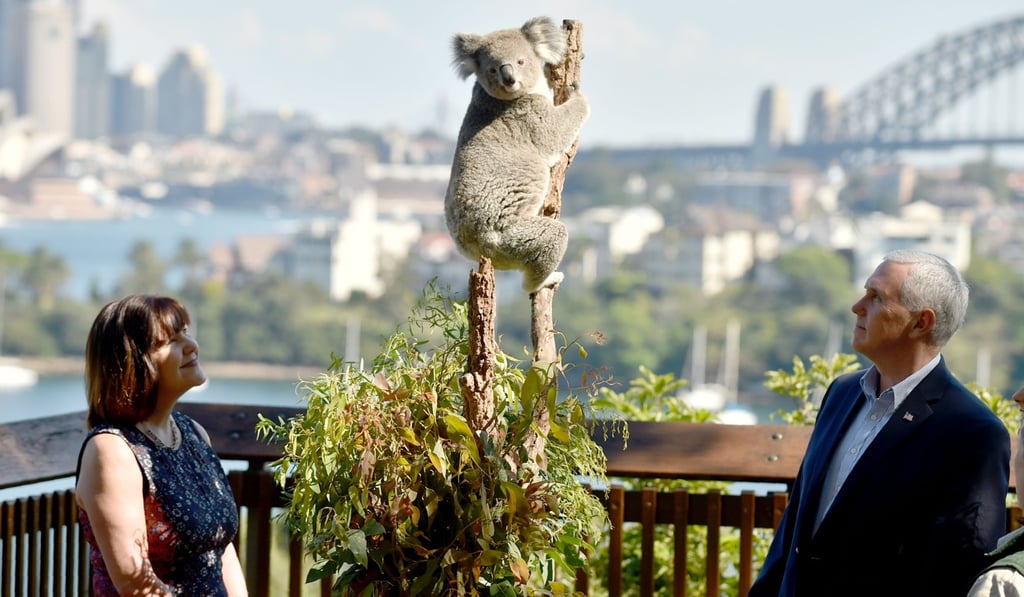 US Vice-President Mike Pence and his wife Karen look at a koala during a visit to Taronga Park Zoo in Sydney. Photo: AFP