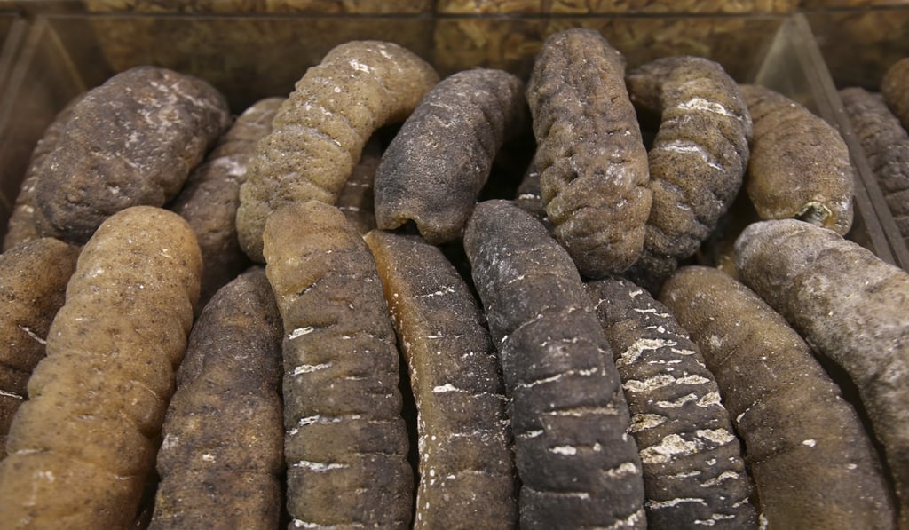 Sea cucumbers at a seafood shop in Sheung Wan, Hong Kong. Photo: SCMP