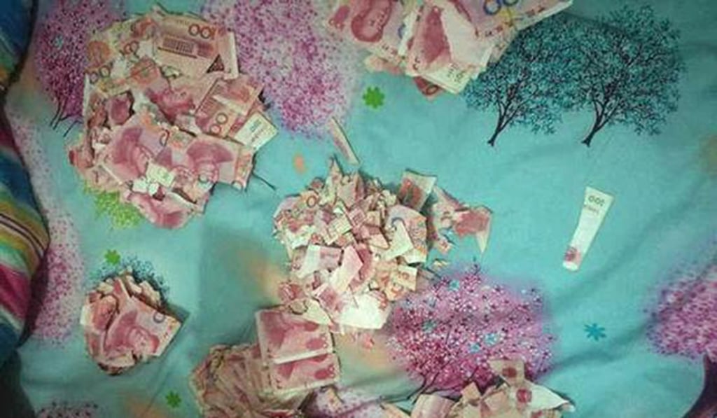 The five-year-old tore up the banknotes into various sized pieces. Photo: Handout The five-year-old tore up the banknotes into various sized pieces. Photo: Handout