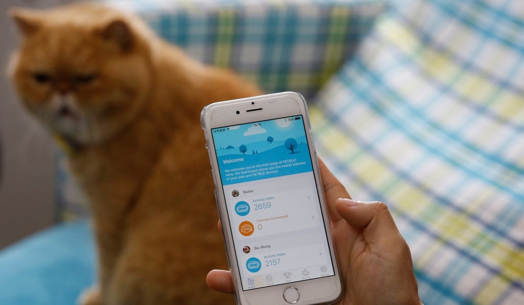 A smartphone app to monitor the activity levels of a pet, made by Hong Kong firm Suga International Holdings. Photo: Reuters