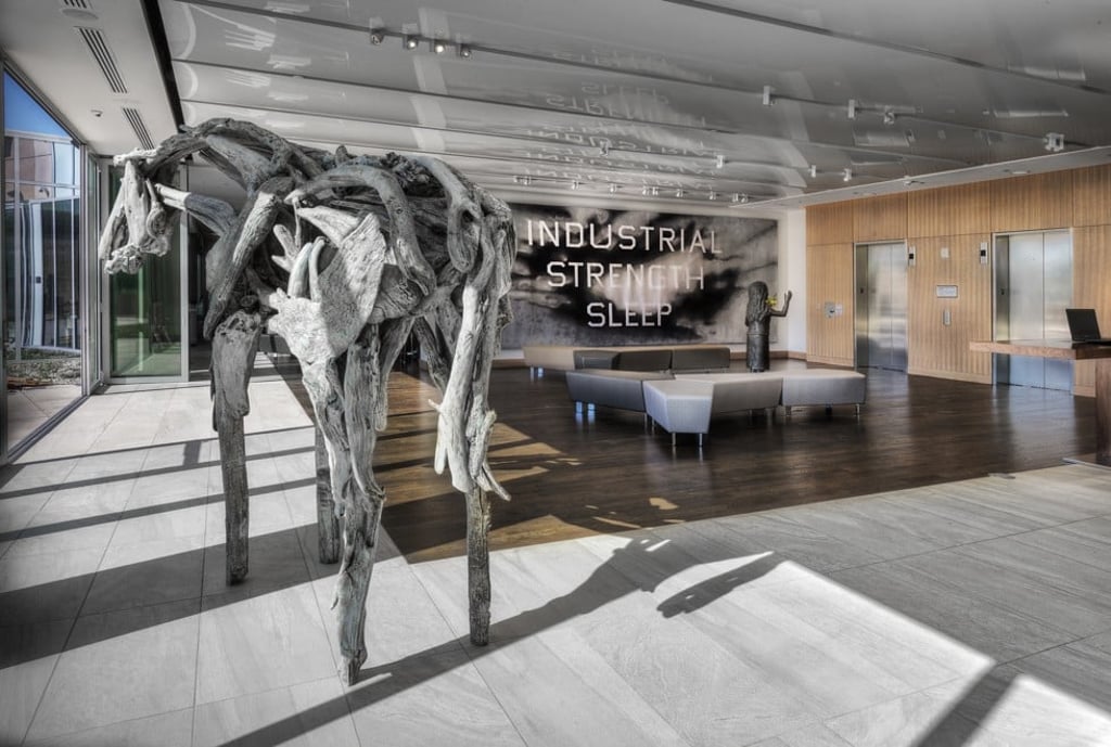 A life-sized horse bronze by Deborah Butterfield in the lobby.