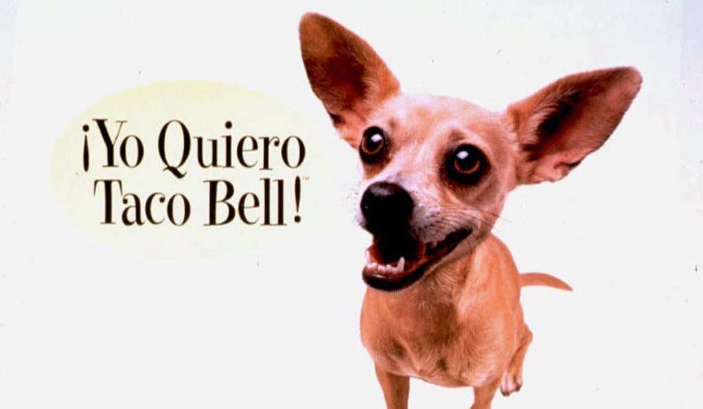 A Taco Bell advertisement featuring a Chihuahua professing his love for tacos is shown in this undated file photo. Taco Bell plans to open hundreds of stores outside the US, including scores in China and India among others. Photo: AP