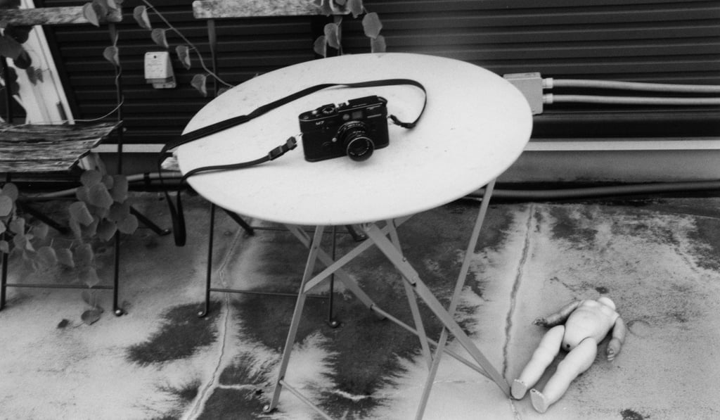 A picture from the Hong Kong exhibition.