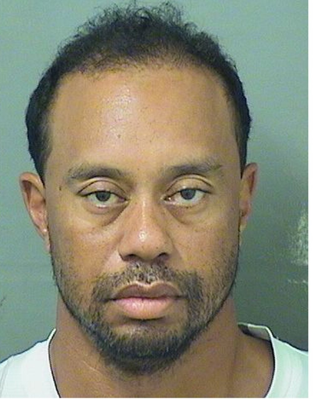 Tiger Woods' booking image in 2017. (Palm Beach County Sheriff)