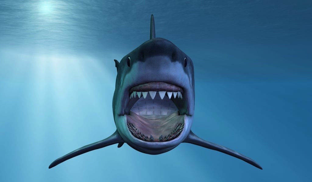 Leave those sharks alone and get your squalane somewhere else. Leave those sharks alone and get your squalane somewhere else.