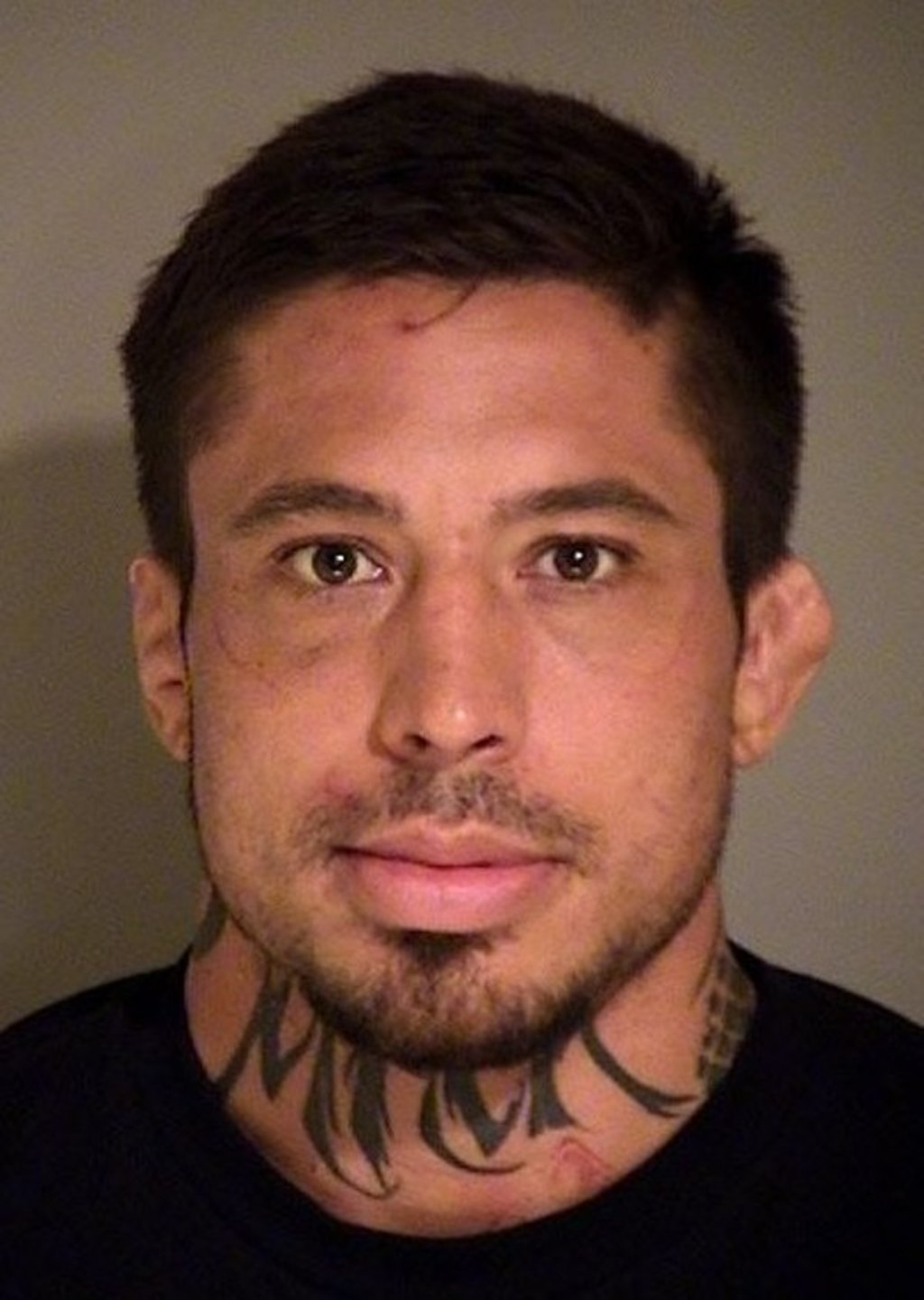 The former MMA fighter was jailed for life following his conviction for the brutal sexual assault and beating of his porn-star ex-girlfriend in 2014.