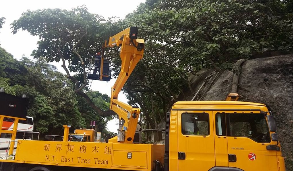 Tree pruning being conducted at Kwong Fuk Road in Tai Po. Photo: Facebook