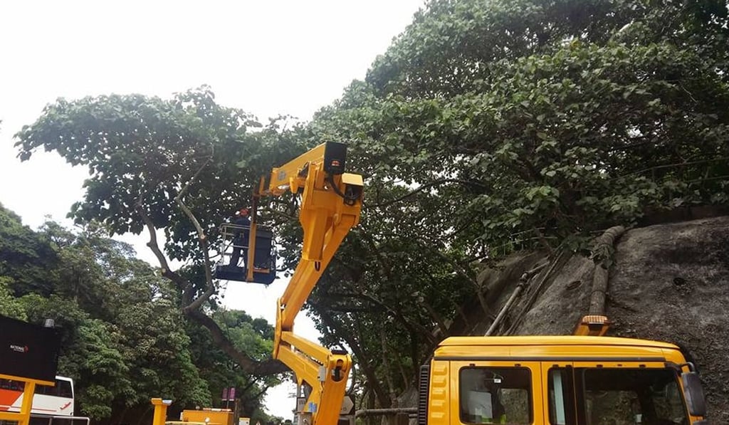 The pruning operation was carried out by staff from the Leisure and Cultural Services Department. Photo: Facebook