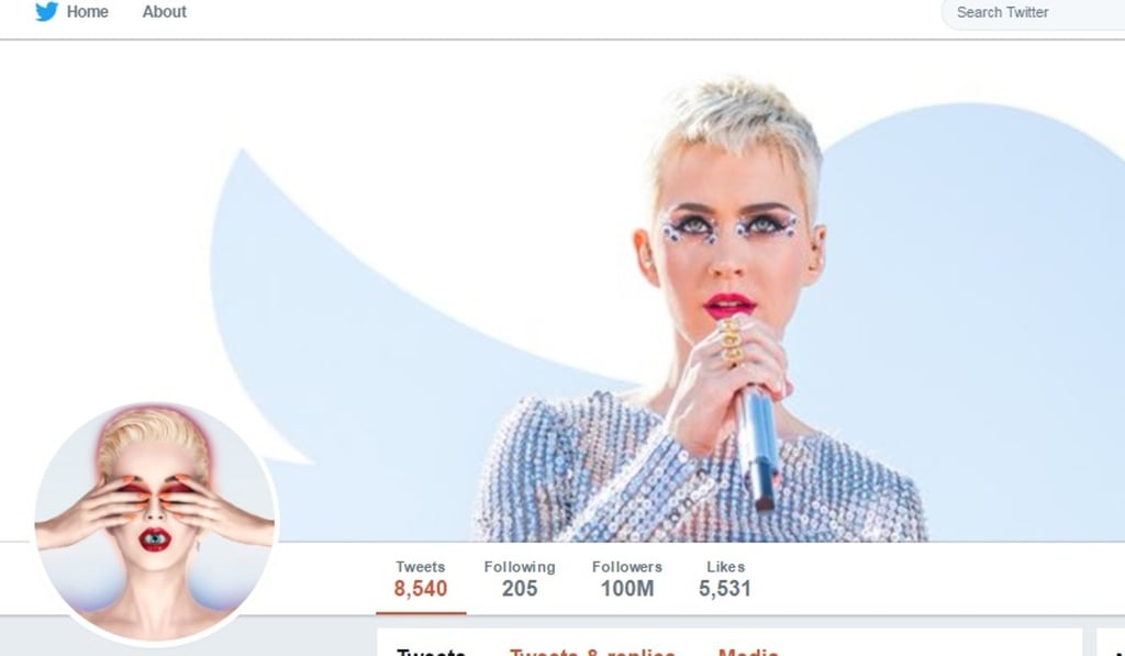 Katy Perry's Twitter page, which now boasts 100 million followers. Photo: SCMP