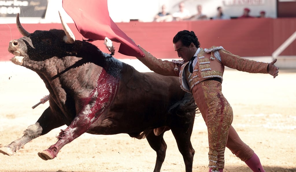 Spanish matador Ivan Fandino during his final bullfight. Photo: AFP
