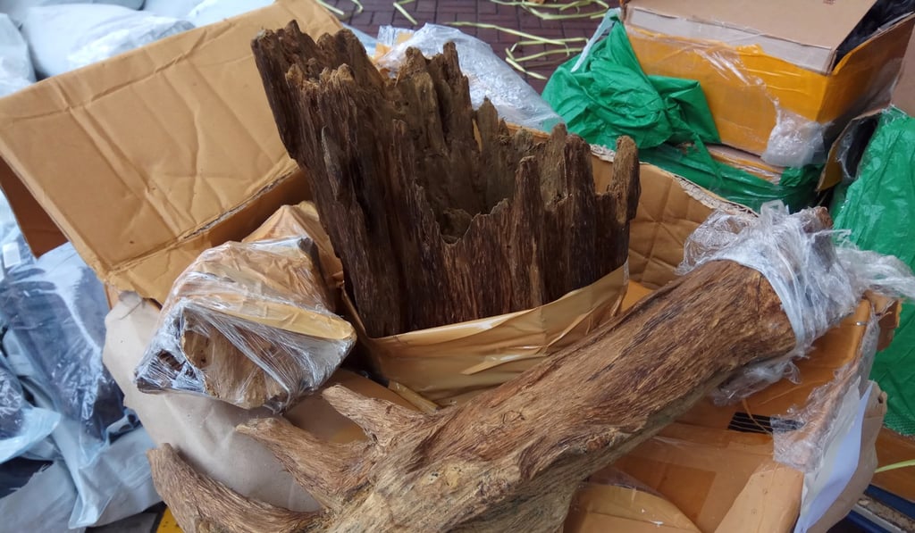 Suspected sandalwood seized at Wong Shek pier. Photo: Handout