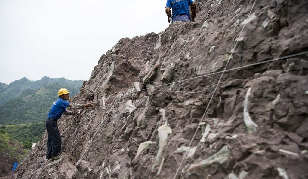 Technicians clean dinosaur fossils in Pu'an Township, Chongqing municipality. Photo: Xinhua Technicians clean dinosaur fossils in Pu'an Township, Chongqing municipality. Photo: Xinhua