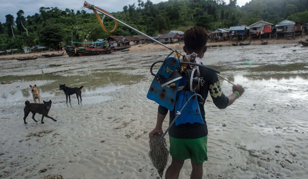 Thiha Tway heads home while carrying his fishing gear and a pufferfish he caught in Nyaung Wee village. Photo: AFP Thiha Tway heads home while carrying his fishing gear and a pufferfish he caught in Nyaung Wee village. Photo: AFP