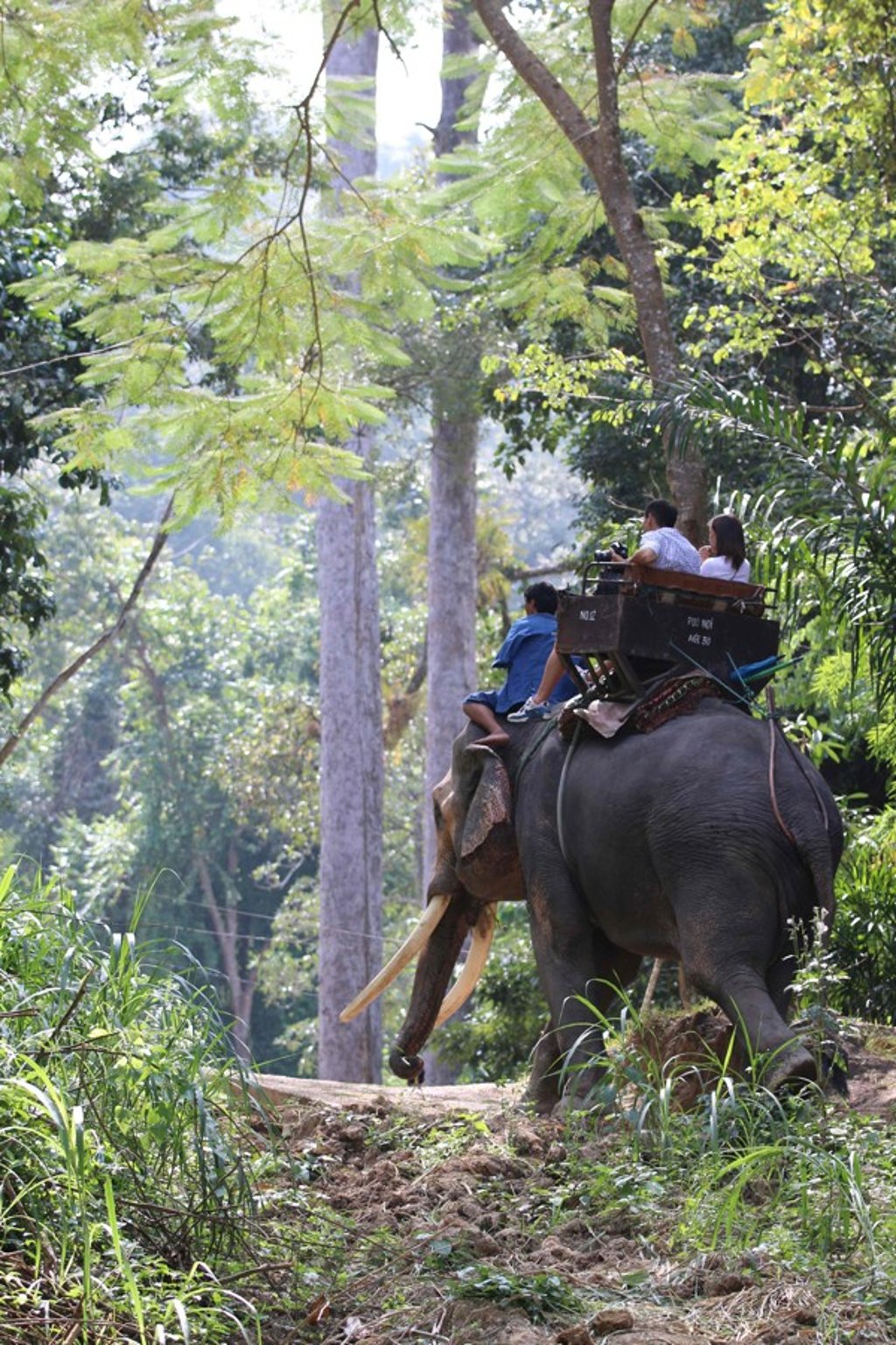Tourists riding an elephant at an animal park in Thailand. Photo: AFP/World Animal Protection Tourists riding an elephant at an animal park in Thailand. Photo: AFP/World Animal Protection