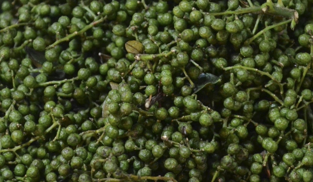 Green hua jiao has a lighter flavour compared with the red type and goes especially well with seafood. Photo: Chris Dwyer
