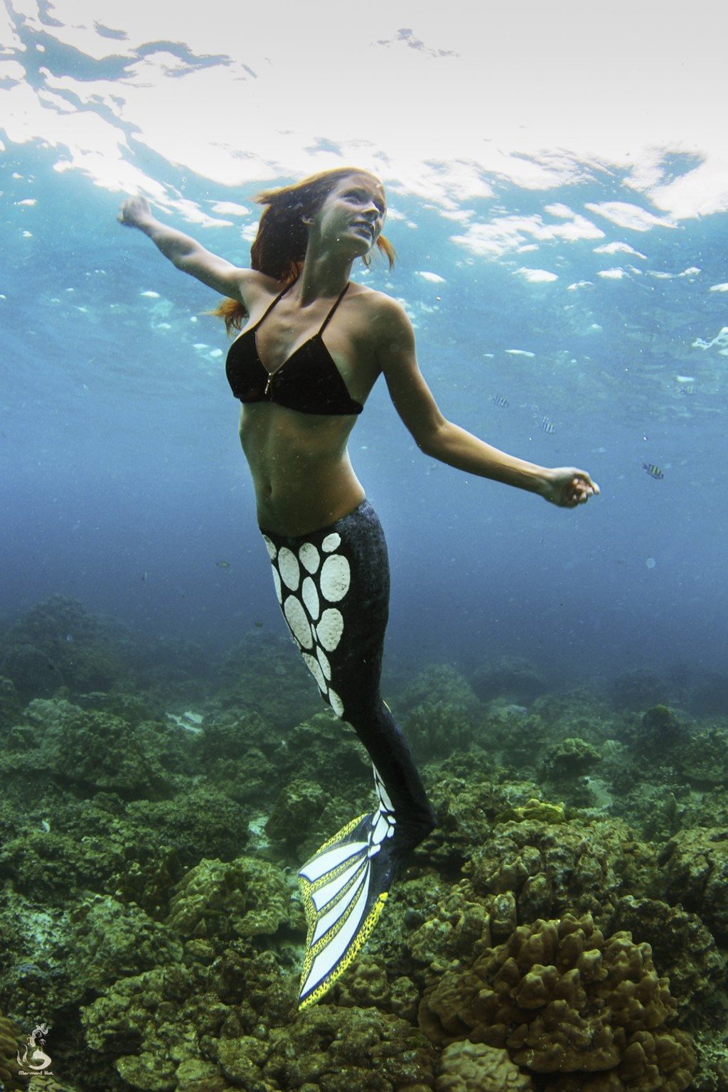 Mermaid Kat can hold her breath underwater for three and a half minutes.