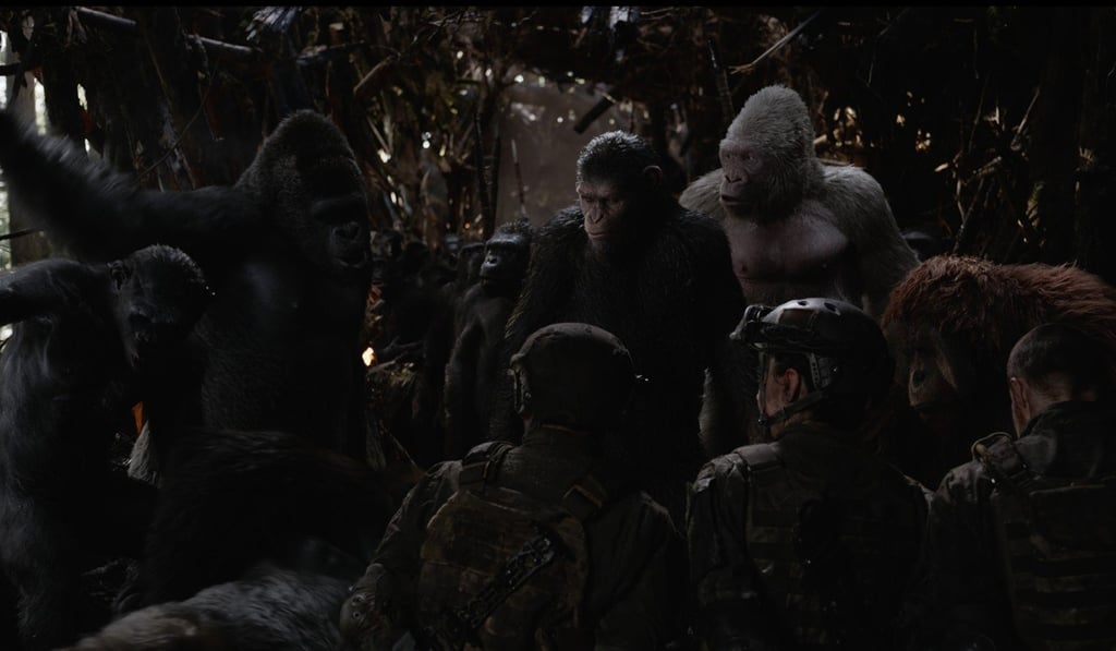 A scene from War for the Planet of the Apes. A scene from War for the Planet of the Apes.