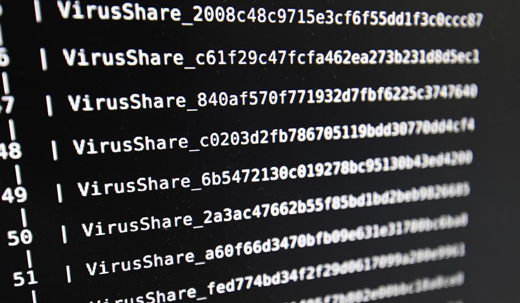 A file photograph taken on November 3, 2016, shows on a screen a list of viruses at the LHS (High Security Laboratory) of the INRIA (National Institute for Research in Computer Science and Automation) in Rennes, France. Photo: AFP