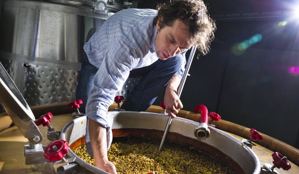 Wine master Primoz Lavrencicč at work at the Burja Estate winery. Slovenia produces some outstanding red and white wines.