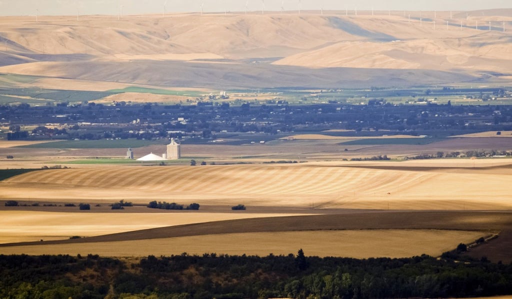 The rolling hills and fields of Walla Walla, which produces flavourful, aromatic red wines. Photo: Alamy