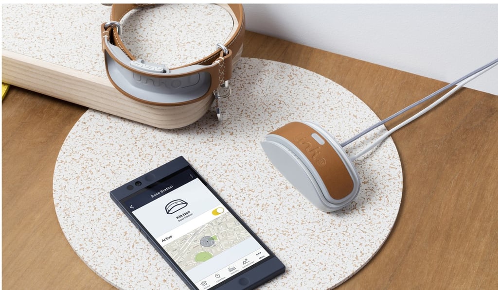 Link AKC smart dog collar.