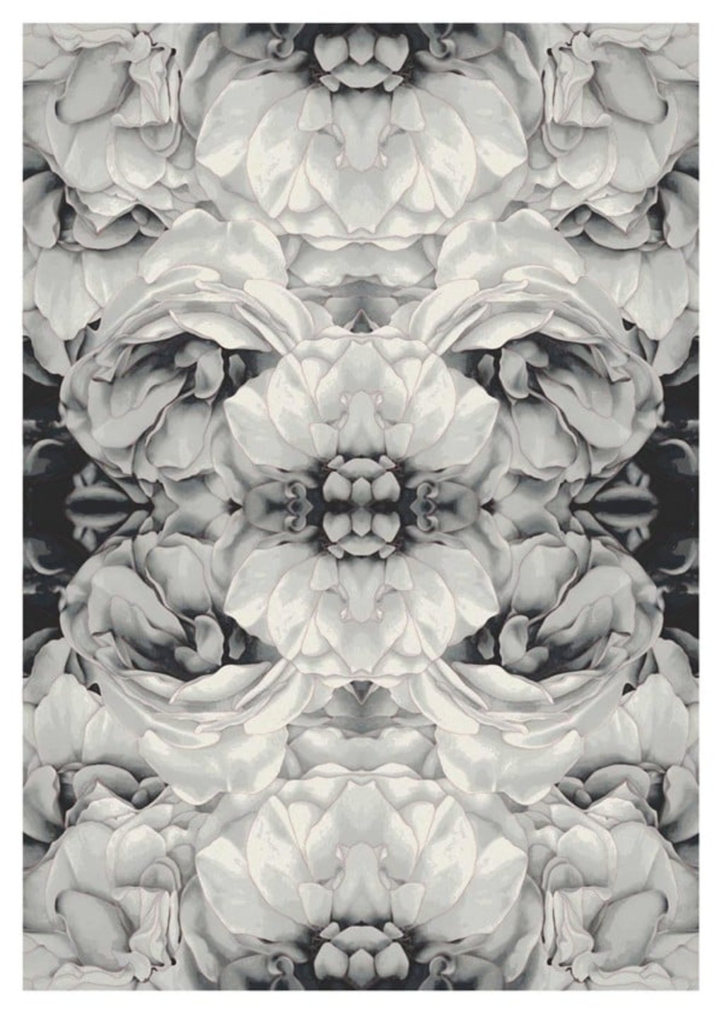 The Koko rug