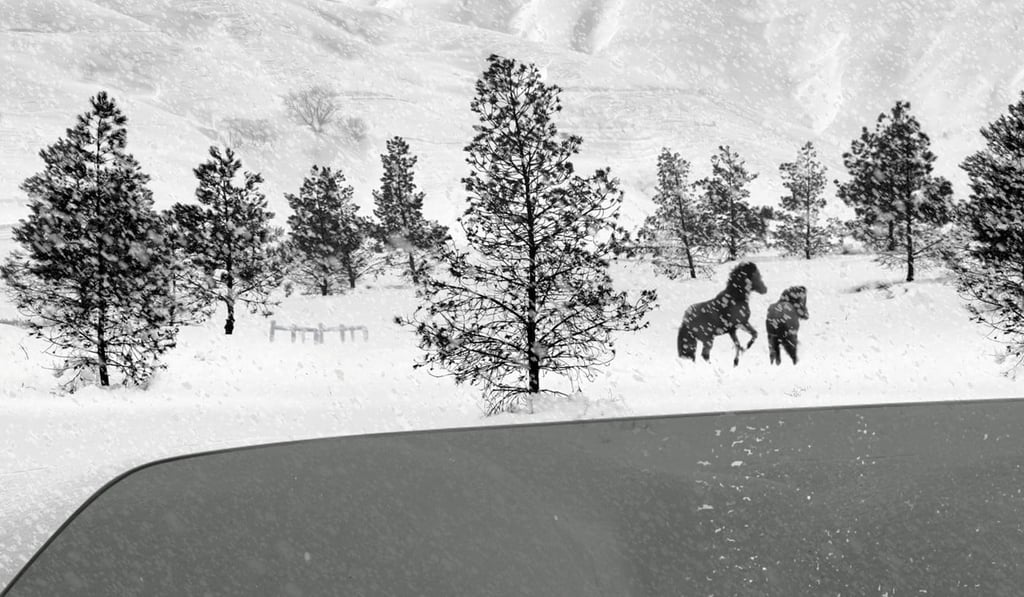 A still from 24 Frames, the posthumous final work of the Iranian director Abbas Kiarostami, to be screened as the closing film of Summer IFF 2017. A still from 24 Frames, the posthumous final work of the Iranian director Abbas Kiarostami, to be screened as the closing film of Summer IFF 2017.