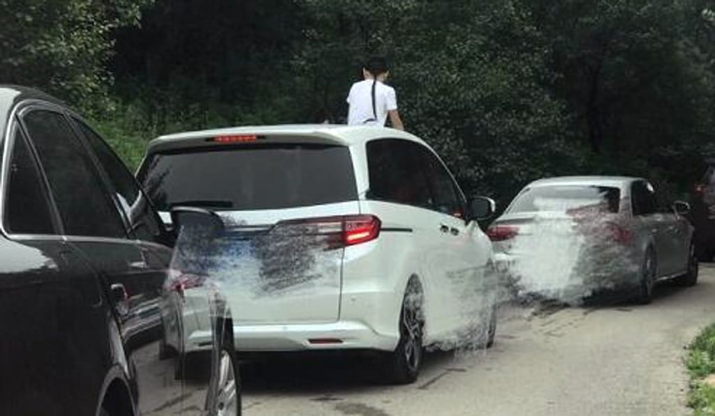 The tourist stands up through the car’s sunroof on a road in the park. Photo: Handout