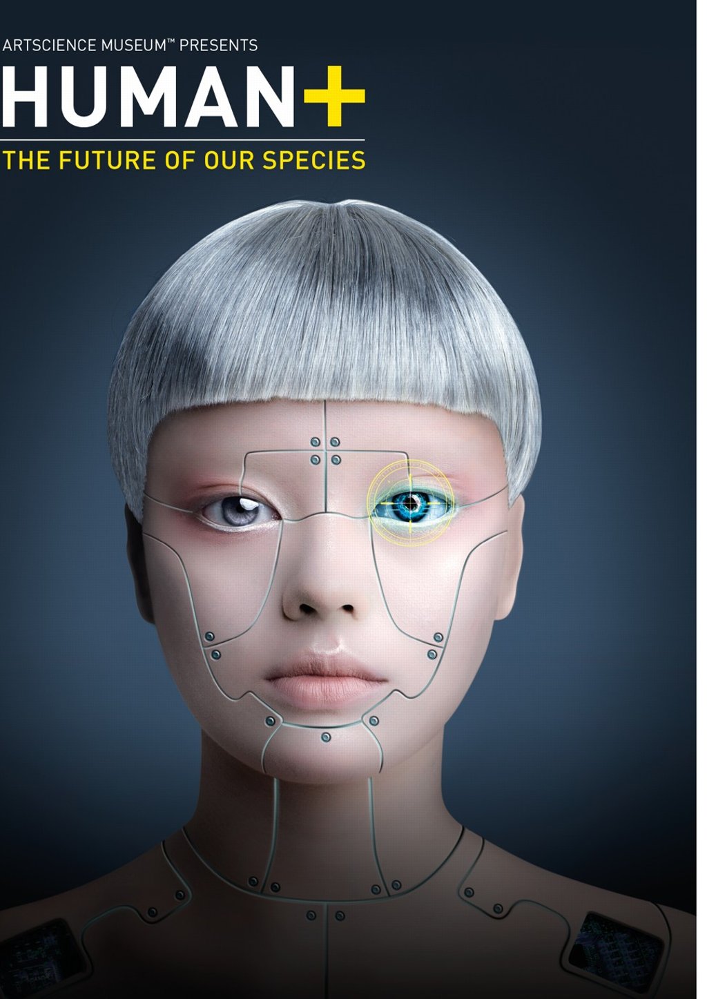 The ArtScience Museum has permanent displays, events, performances, educational activities and touring exhibitions.