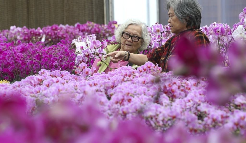 Customers choose flowers at a farm in Kam Tin, Yuen Long. Photo: Felix Wong