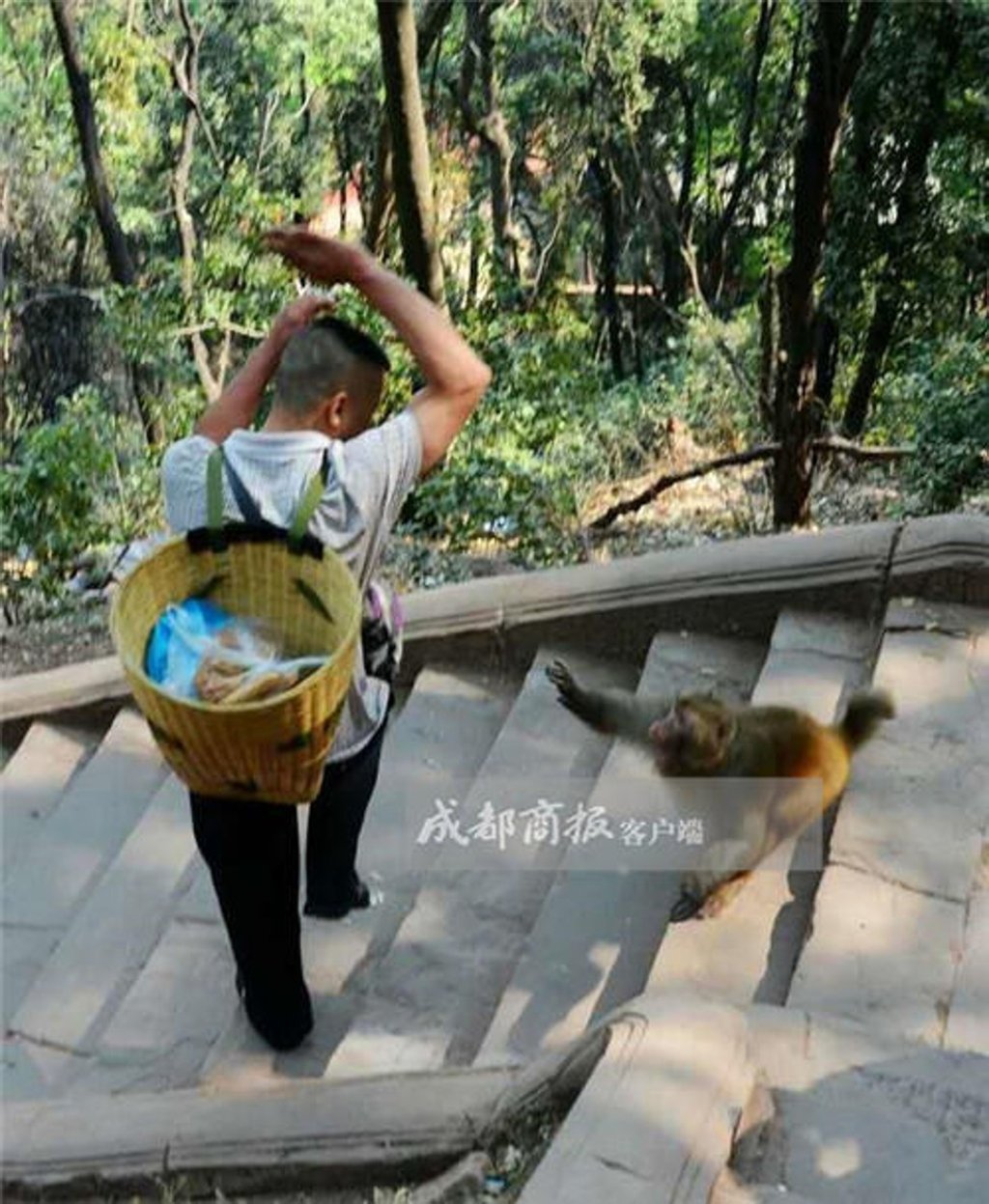 A man has a close encounter with a monkey at Lu Mountain. Photo: Handout