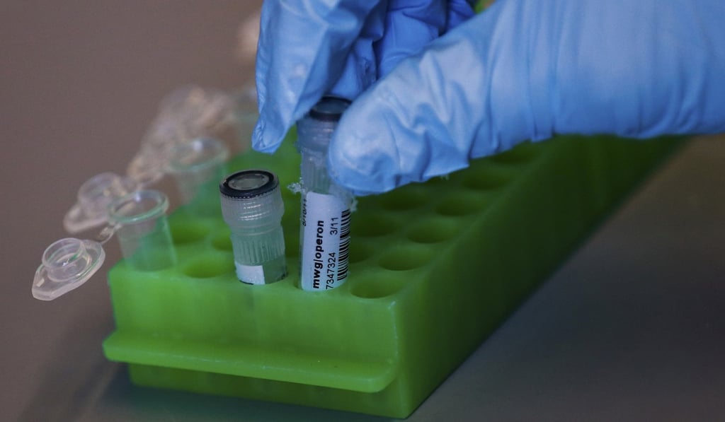 Testing has shown that several molecules in this sponge selectively destroy pancreatic cancer cells. Photo: Alamy