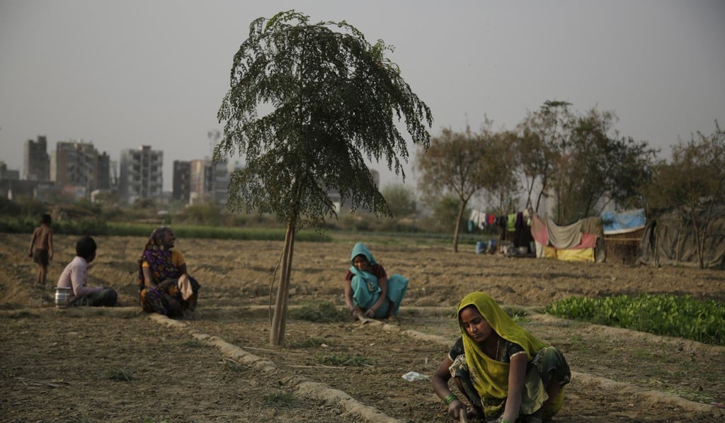 Indian women farmers work on the outskirts of New Delhi. Photo: AP